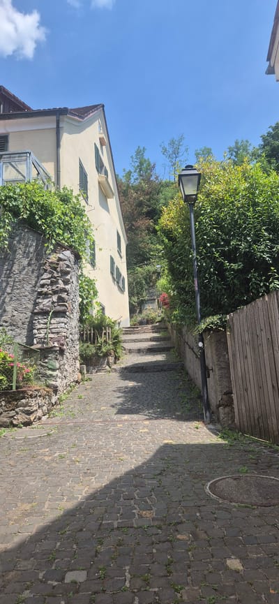 This image depicts a narrow, cobblestone pathway winding uphill alongside a building and lush greenery. The pathway is made of dark, rectangular stones, with weeds growing in the cracks. A circular metal manhole cover is visible on the right side of the path. On the left, a pale yellow building with green-shuttered windows and climbing ivy is partially visible. Above the building, a clear blue sky with a few wispy clouds is seen. A tall lamppost stands on the pathway, casting a shadow. Further up the path, a wooden fence runs along the top of a stone wall. The scene suggests a warm, sunny day, likely in the morning or afternoon, given the bright sunlight and shadows. The overall atmosphere is tranquil and somewhat rustic, hinting at a charming European village or town. No people are visible in the image. There is no visible text in the image.