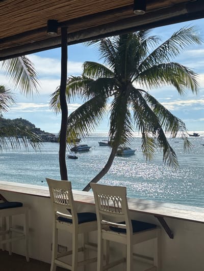 The image displays a tropical coastal scene from an elevated vantage point, likely a bar or restaurant overlooking a bay in Koh Tao, Thailand. In the immediate foreground, two white wooden bar stools with dark blue seat cushions are positioned at a light-colored wooden bar counter, facing the water. The stool on the right shows chipped paint on its seat back and legs. Overhead, the underside of a thatched or woven bamboo ceiling is visible, supported by a dark wooden beam from which two black cylindrical light fixtures extend.
The midground features a calm, sparkling blue ocean reflecting sunlight, extending to a bright blue sky with scattered white clouds. Several boats are anchored across the bay, including at least two white speedboats/yachts, a smaller dark boat, and a larger, multi-deck vessel further left near a distant, vegetated landmass. Two prominent palm trees frame the view, with one tall, slender trunk positioned centrally and another curving distinctly to the right, their green fronds extending across the upper and middle sections of the frame. No individuals are visible in the scene.