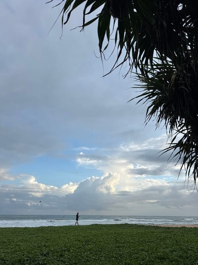 The image depicts a serene beach scene in Koggala, Sri Lanka. In the foreground, dark, leafy palm fronds frame the left side of the frame, casting a shadow. The scene then opens up to a vast sky filled with dramatic clouds, a mix of grays and whites, with patches of bright blue sky peeking through. Sunlight breaks through the clouds, illuminating parts of the sky and casting a soft glow.
The middle ground features the ocean with gentle waves breaking on the shore. Adjacent to the ocean is a vibrant, dense expanse of green vegetation, possibly sea spinach or similar coastal ground cover, that stretches along the coastline.
A lone figure, a person wearing a dark t-shirt and shorts, stands on the edge of the greenery, facing the ocean. Their posture suggests a moment of quiet contemplation or enjoyment of the natural scenery. The waves are creating a foamy white line as they meet the shore.
The time of day appears to be late afternoon or early evening, given the soft, diffused light and the dramatic cloud formations often seen during these hours. The weather is partly cloudy, with a gentle sea breeze implied by the movement of the palm fronds and the appearance of the waves. The overall mood is tranquil and peaceful, capturing the beauty of a coastal landscape at a calm moment. There is no visible text in the image.