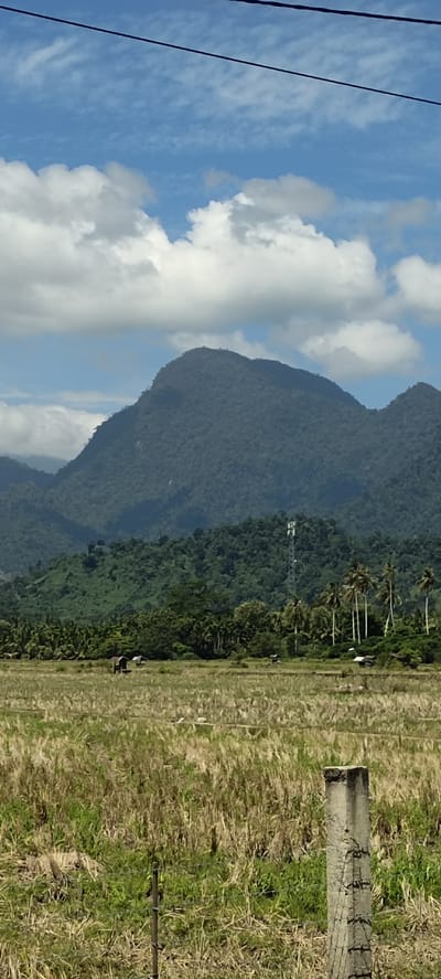 The image shows a rural landscape in Teungohblangmee, Indonesia. In the foreground, a dry, mowed field with some patches of green grass is visible, bordered by a concrete fence post and wire fence. In the middle ground, a line of palm trees and smaller trees separates the field from a dense forest that covers the slopes of a large, dark green mountain range. A cell tower is visible amidst the trees on the mountain slope, and small buildings are scattered across the landscape. The sky above is blue with scattered white clouds, and two dark power lines stretch across the top of the frame.