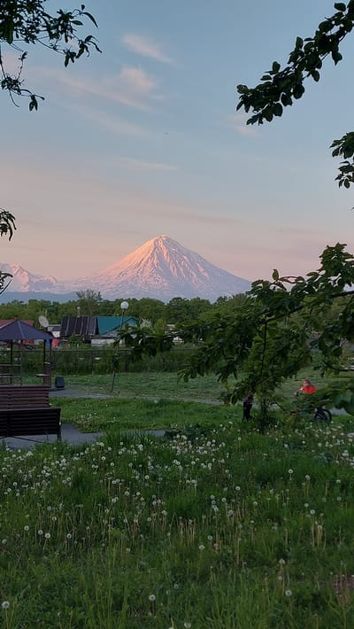 The image depicts a serene natural landscape with a majestic, snow-capped mountain dominating the background. The mountain, with its sharp, conical peak, is bathed in the soft, warm light of either sunrise or sunset, casting a gentle pinkish hue on its slopes. The sky above is a pale blue, streaked with wispy, delicate clouds, suggesting fair weather.
In the foreground, a lush green meadow is dotted with numerous dandelion seed heads, their fluffy white orbs standing out against the vibrant grass. To the right of the meadow, a pathway winds through the greenery. A few scattered trees with dark green leaves frame the scene, partially obscuring the view and adding depth.
Nestled between the meadow and the mountain, a small settlement can be observed, comprising several buildings with varied roof colors, including green and dark shades. A white lamppost stands near one of the structures. In the middle ground, a person wearing a red shirt is visible, adding a touch of human presence to the tranquil setting. A dark brown bench is also present in the foreground, inviting relaxation and contemplation of the breathtaking vista.
The overall mood is peaceful and idyllic, evoking a sense of calm and wonder. The time of day is likely early morning or late evening, indicated by the soft, diffused light and the warm colors in the sky and on the mountain. The location is identified as Зелёный, Russia. There is no visible text in the image.