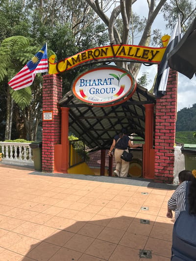 In Tanah Rata, Malaysia, an entrance archway with "CAMERON VALLEY" signage stands before a building with a covered walkway. A Malaysian flag is flown to the left of the arch, and another flag, black and white, is to the right. A circular sign with "BHARAT GROUP Since 1933" is displayed below the arch. A woman in a dark blue top and light-colored pants walks up the stairs into the building, carrying a black bag. Two green trash bins are visible to the left and right of the entrance. The ground is tiled in a terracotta color. In the background, lush green trees and foliage are present, with a hint of rolling hills covered in tea plantations.