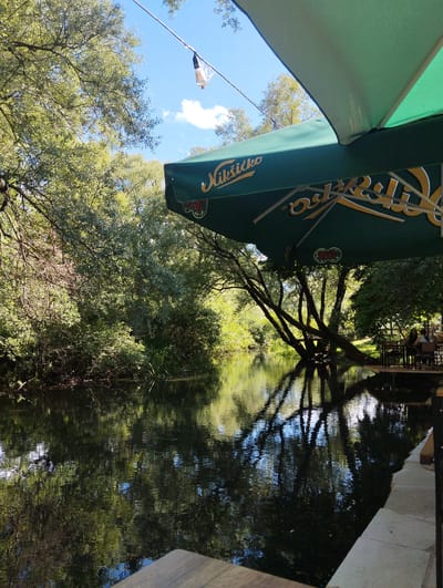 The image captures a serene waterside scene, likely a cafe or restaurant, located in Miločani, Montenegro. In the foreground, a wooden table is visible, partially obscuring the view. Dominating the upper right portion of the frame is a large green umbrella, emblazoned with the Nikšićko logo in yellow lettering, suggesting a brewery affiliation.

The umbrella shades an outdoor seating area where two individuals are seated at a table. Beyond the seating area, a lush green environment unfolds. Trees with dense foliage line the bank of a tranquil body of water, which reflects the surrounding greenery and the blue sky dotted with white clouds. The water's surface is calm, with the reflections of trees and the sky creating a painterly effect. A single light fixture hangs from a wire overhead, adding a touch of functional detail to the natural setting. The overall impression is one of a peaceful, shaded retreat by the water, characteristic of outdoor dining establishments in scenic locations.