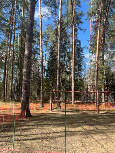 The image shows a forested area, possibly a park or recreational area, in Lesnoye, Russia. Tall pine trees dominate the scene, reaching towards a partly cloudy blue sky. An adventure course or obstacle course appears to be set up within the trees, featuring wooden platforms, ropes, and metal structures. Orange safety netting or barriers are present, delineating certain areas. The ground is covered with dry grass and leaf litter, suggesting early spring or late autumn. No people are visible in the image.