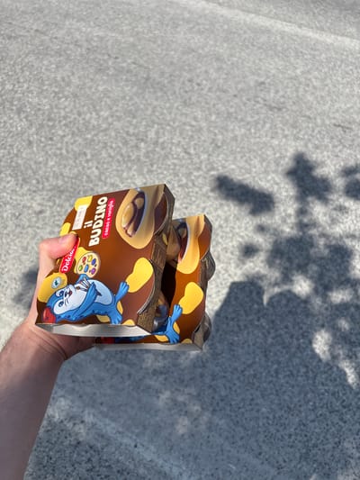 A close-up, outdoor shot depicts a person's right hand holding a multi-pack of pudding. The hand is holding a brown and yellow cardboard package of "Il BUDINO" (pudding) by the brand "Dolcia." The text on the package clearly states it is "cacao e vaniglia" (cocoa and vanilla) flavored, containing "400g (4x 100 g)," and displays an expiration date of "05.05.2026 E." The packaging design features a cartoon blue platypus-like character holding a paintbrush and an artist's palette, along with an illustration of a spoonful of chocolate and vanilla pudding.

The background consists of a light grey, textured ground surface, resembling pavement or concrete, illuminated by bright sunlight. Prominent, dark shadows, likely cast by overhead foliage or branches, are visible across the ground, indicating a clear, sunny day. The image is captured from a slightly elevated perspective, looking down at the hand and the ground. The scene is set outdoors, possibly in Camerino, Italy, as suggested by the product's language and provided context. No specific emotions are discernible from the partial view of the hand.