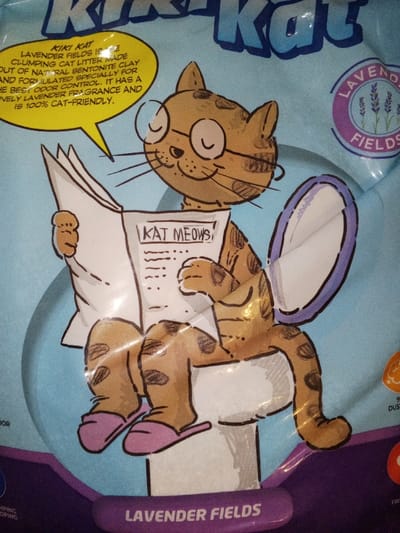 This image depicts the front of a consumer product package, observed in Madinaty, Egypt. The package features a central cartoon illustration of a light brown tabby cat with darker brown spots. The cat wears circular eyeglasses and pink slippers, and is positioned sitting on a white toilet. It holds an open newspaper, with the headline "KAT MEOWS" clearly visible, appearing to be engaged in reading. To the upper left, a yellow speech bubble contains white text stating, "KIKI KAT LAVENDER FIELDS IS CLUMPING CAT LITTER MADE OUT OF NATURAL BENTONITE CLAY AND FORMULATED SPECIALLY FOR THE BEST ODOR CONTROL. IT HAS A LOVELY LAVENDER FRAGRANCE AND IS 100% CAT-FRIENDLY." A purple circular emblem with lavender sprigs and the text "LAVENDER FIELDS" is situated to the upper right. A prominent purple band at the bottom of the package also displays "LAVENDER FIELDS" in white text. The overall background color of the illustration is light blue. The material is flexible plastic packaging, exhibiting minor surface irregularities.