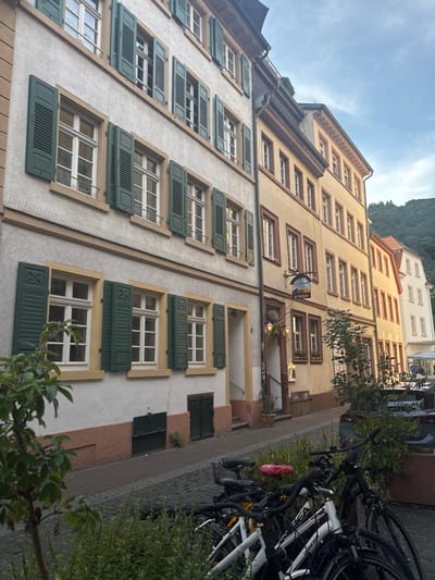 The image depicts a street scene in Heidelberg, Germany, likely in the Altstadt (Old Town) area, given the architecture. The foreground is occupied by several bicycles parked along the cobblestone street. The buildings lining the street are multi-story structures with facades featuring stucco and stone elements. The windows of these buildings are adorned with dark green shutters, many of which are open. One building has a sign that reads "KILIMANJARO" with an illustration of an elephant. The sky above is overcast with hints of blue. There are no people clearly visible in the image. The overall impression is one of a charming, historic European street.