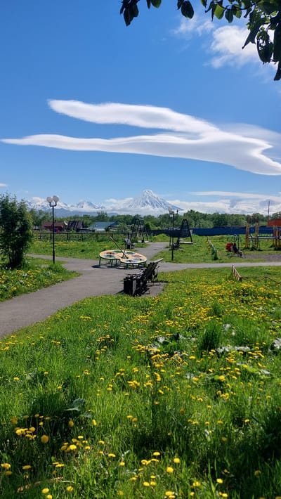 The image depicts a scenic view of a park in the city of Zelenyy, Russia, on a bright, sunny day. The foreground is dominated by a vibrant green grassy field dotted with numerous yellow dandelions. A paved pathway curves through the park, leading to a playground area. In the playground, there are various structures, including swings, a merry-go-round resembling a painter's palette, and benches. In the background, a cluster of buildings with red roofs are visible, nestled amongst lush green trees. Beyond the settlement, majestic snow-capped mountains rise under a clear blue sky, punctuated by striking lenticular clouds. The scene conveys a sense of tranquility and natural beauty.