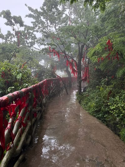 The image depicts a wet, stone-paved pathway in Yongding District, China. The path is bordered by dense vegetation, including trees and shrubs. Many of the trees have red ribbons tied to their branches. A natural barrier made of intertwined branches, also adorned with red ribbons, runs along one side of the path. The overall atmosphere is misty and overcast, suggesting high humidity or rainfall.