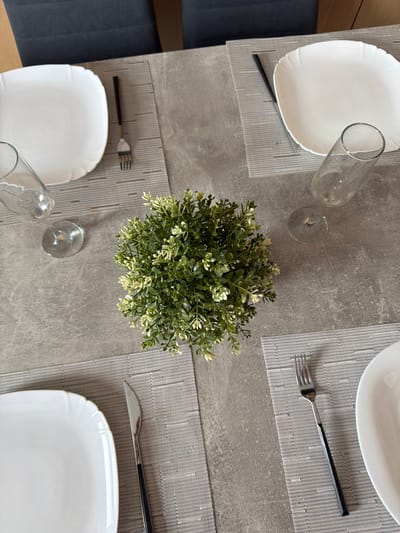The image shows a dining table set for a meal. There are four place settings, each with a white square plate, a fork, and a glass. A small artificial plant sits in the center of the table. The table is made of a gray, textured material, and is covered with placemats. The background shows dark gray chairs. The scene is indoors and appears to be a home dining area. There are no people visible in the image. The image is taken from a top-down perspective. The location of Семилуки, Russia is not identifiable from the image.