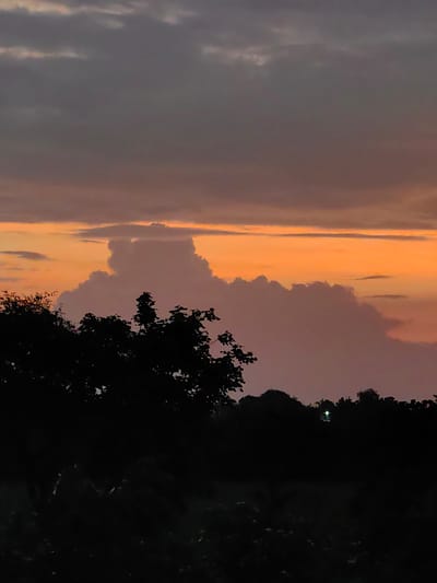A dramatic sunset illuminates a sky filled with vibrant orange and purple hues. Large, textured clouds dominate the mid-sky, with a prominent, lighter cloud formation drawing the eye. Silhouetted against this colorful backdrop are the dark outlines of trees and foliage in the foreground, creating a stark contrast. The lower portion of the image depicts a dark, indistinct landscape, possibly fields or a forest floor, with a faint, distant light visible in the center. The scene suggests an evening in a rural or semi-rural area, possibly on the outskirts of Dattapur, India, given the natural landscape and the quality of light indicative of twilight.