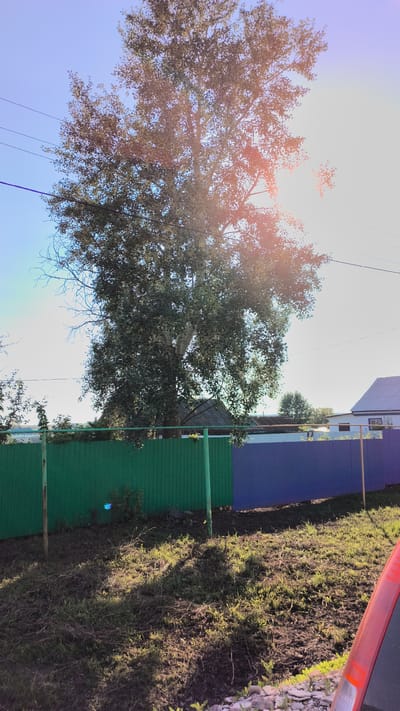 In Alkinо, Russia, a large deciduous tree with dense foliage dominates the center of the frame, set against a clear blue sky. Power lines run horizontally across the upper portion of the image. In the middle ground, a corrugated metal fence divides the scene; its left section is painted green, and the right section is painted blue. Behind the fence, several houses with dark, sloped roofs are visible, along with some smaller trees. The foreground consists of unkempt grassy terrain with patches of dirt and shadows cast by the tree and the fence. A small, bright blue object is visible on the ground near the green fence. The lower right corner of the image shows a portion of a red car, specifically its taillight assembly. The sun is positioned high and slightly to the right, casting bright light and lens flare effects on the tree and sky.