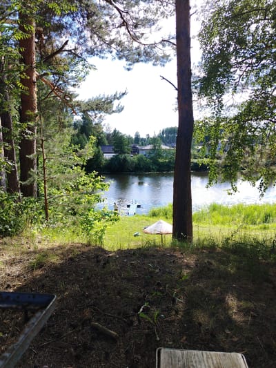 The image depicts a scenic view of a lake or riverbank in Stroitel', Russia, on a bright, sunny day. The foreground is dominated by the shaded forest floor, covered with pine needles and scattered twigs. A metal barbecue grill rack is partially visible in the lower left corner, and a wooden surface, possibly part of a table or bench, is in the lower right.
A tall, slender pine tree stands prominently in the middle ground, its bark rough and textured. To its left, other trees with dense green foliage create a vibrant contrast against the bright sky.
The water is calm and reflects the sunlight, with a gentle ripple on its surface. A wooden pier extends into the water, and a figure, possibly a person wearing a light-colored shirt and dark pants, stands near the end of the pier. A small, white umbrella-like structure is positioned on the grassy bank near the water's edge.
In the background, across the water, a line of houses with red roofs is visible, nestled among lush green trees. The sky above is a clear, pale blue, suggesting pleasant weather conditions. The overall impression is one of a tranquil, natural setting.