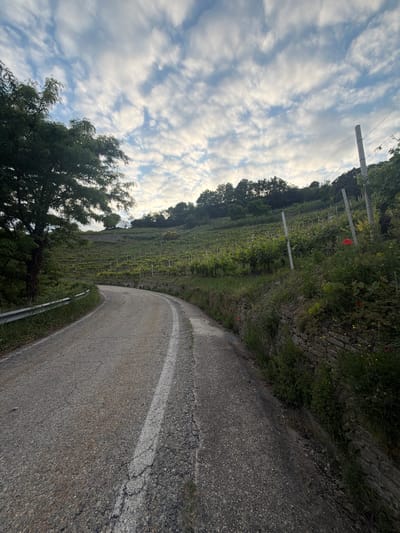 The image shows a curving asphalt road with a white line marking the center, leading up a hill. To the left of the road is a terraced vineyard. To the right, the road is bordered by a stone wall overgrown with vegetation. The sky is visible above, filled with patchy clouds. The scene appears to be located in a rural or semi-rural area in the Italian city of Santo Stefano Belbo.