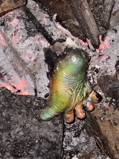 The image depicts a dismembered human hand resting in a fire pit surrounded by ash, charred wood, and embers. The hand shows signs of burning and discoloration, with some areas blackened and others retaining a greenish-yellow hue. The location is Carangsari, Indonesia.