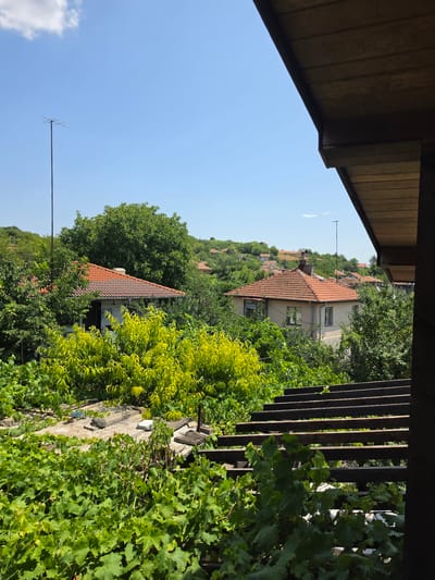 This image depicts a rural village scene in Indzhe Voyvoda, Bulgaria, on a clear, sunny day. The perspective is from a covered wooden structure, looking out over a hillside dotted with houses. The houses have characteristic red-tiled roofs and are nestled amongst lush green trees.
The foreground is dominated by the textured wooden underside of the overhead structure, which creates a framing effect for the view beyond. To the right, a dark wooden pergola or fence runs vertically, partially obscuring the view and covered in vibrant green grapevines.
The middle ground features several houses, with their red roofs standing out against the foliage. The houses appear to be of a traditional style, and some have visible antennas. The landscape is rolling, with more houses and trees visible further up the hill. The bright green of the trees and vines suggests it is late spring or summer.
The sky is a clear, bright blue with a few wispy white clouds. The overall impression is one of a peaceful, sun-drenched day in a picturesque village. There is no visible text in the image. The activity taking place is simply the observation of the scenic environment.