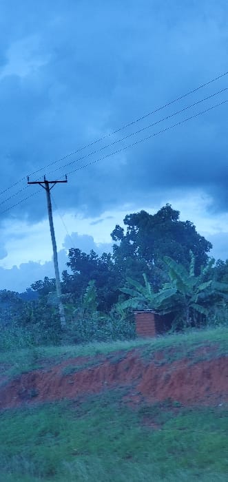 An overcast sky hangs over a landscape where a utility pole stretches vertically, adorned with power lines. Lush green foliage and banana trees line the right side of the image, meeting a patch of reddish-brown dirt. A glimpse of a small structure with a reddish-brown roof peeks out amidst the vegetation. The overall scene is dominated by cool blues and greens, hinting at a tranquil yet possibly stormy atmosphere.