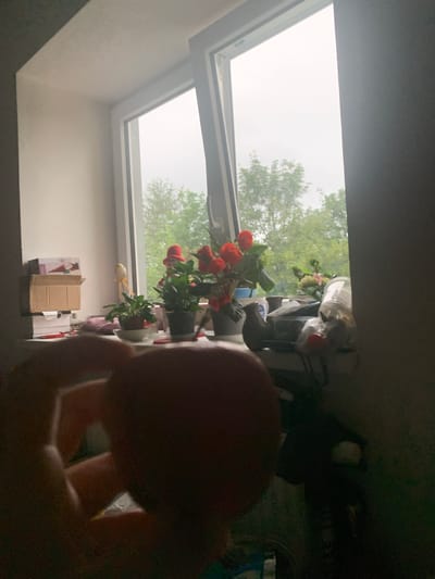 The image depicts a dimly lit interior scene, likely a room, with a window in the background that looks out onto trees and an overcast sky. In the foreground, a person's hand is visible, holding a reddish, spherical object, possibly a tomato or a ball. The hand and object are out of focus. On a windowsill to the left, there are several objects, including cardboard boxes and what appears to be a toy figure with a red hat. To the right of the window, on the sill, are several potted plants with red flowers, some small decorative items, and clear plastic containers with objects inside. The overall impression is of a domestic setting, possibly a windowsill in a home or apartment. The image does not contain any direct references to the city of Vejprty, Czechia, or any specific location information.