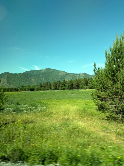 The image depicts a landscape scene with a clear blue sky. In the foreground, a lush green field with some wildflowers is visible. To the right, a large evergreen tree is prominent, with its branches filling a significant portion of the frame. In the background, a range of rolling green mountains covered in dense forest is visible. The image appears to be taken from a moving vehicle, as indicated by the motion blur in the foreground. The location is identified as Elekmonar, Russia, suggesting a natural, possibly rural or mountainous environment. There are no people or animals visible in the image, and no discernable actions or interactions are taking place. The overall impression is one of natural beauty and tranquility.