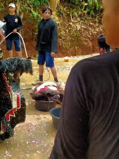 The image depicts an outdoor ritual or cleansing ceremony taking place in a muddy clearing in Gempolan, Indonesia, against a backdrop of a steep, vegetated dirt bank.
In the immediate foreground, to the right, the blurred right shoulder and back of a person wearing a black long-sleeved shirt are visible, observing the scene. To the left foreground, partially visible, is a portion of a black, shaggy, and elaborately decorated costume, possibly a 'Dadak Merak' (from Reog Ponorogo), with red and white patterned details, currently wet.
In the mid-ground, a male individual, appearing to be an older adult, stands facing left, wearing a black long-sleeved shirt, blue denim shorts, dark socks, and light-colored shoes. He has a patterned headband and holds a thin, dark cord or rope in his right hand. To his left, another person lies face down in a black plastic basin filled with water, their head submerged amidst long, dark hair. Their upper body, clad in a light-colored garment, rests on the basin's edge. A second, empty black basin is positioned nearby.
In the background, to the left, a younger male individual wears a white baseball cap, a black long-sleeved shirt with a small logo, and blue denim shorts. He holds a white hose, directing a stream of water towards the left foreground, likely onto the costume. Further to the right in the background, another person is partially visible, bent over, wearing dark clothing.
The ground is a mixture of wet mud and shallow standing water, with numerous pink and red flower petals scattered across it. A single coconut shell floats in the water in the mid-background. The steep bank behind the subjects is covered densely with green foliage and visible tree roots. The scene is illuminated by bright daylight.