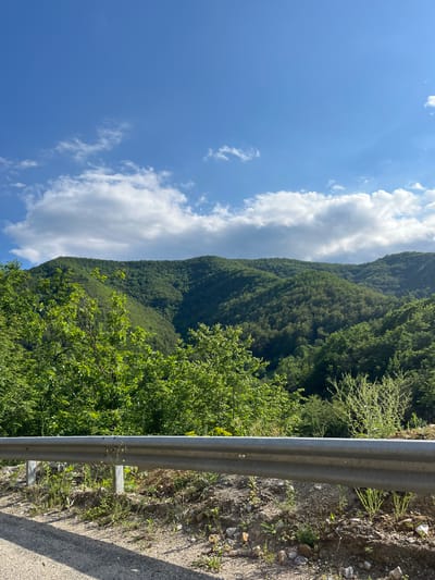 The image depicts a mountainous landscape under a bright blue sky with scattered white clouds. In the foreground, a metal guardrail runs horizontally across the frame, separating a paved road on the left from a rocky, vegetated embankment on the right. Behind the guardrail, lush green trees and bushes dominate the mid-ground, with their leaves illuminated by sunlight. In the background, rolling hills covered in dense forest stretch into the distance, their slopes layered with varying shades of green. The overall scene is one of natural beauty and serenity. The image was taken in the vicinity of Taran, Bulgaria, where the terrain is characterized by its verdant mountains and clear skies.
