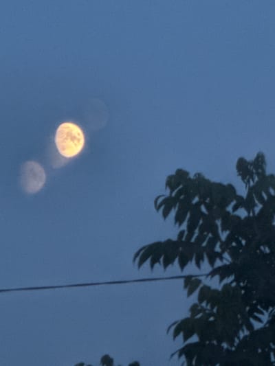The image depicts a dusky sky with a faint, pale moon visible in the lower left quadrant. The moon appears luminous and slightly hazy, with subtle indentations suggesting craters. To the right of the moon, a second, more diffused and faint orb is visible, likely an artifact of the imaging or atmospheric conditions. Silhouetted against the sky in the upper portion of the frame are the dark, leafy branches of a tree. A thin, vertical dark line, possibly a wire or string, bisects the right side of the image, running from the top down towards the bottom. The overall color palette is muted, dominated by shades of blue and gray, indicative of twilight or a heavily overcast sky. The scene is serene and possibly captures a moment of contemplation or quiet observation of the natural world. The time of day is likely evening, as suggested by the dim light and the visibility of the moon. There is no visible text in the image. The location context is Beryozovsky, Russia.