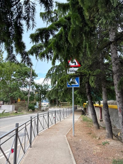 The image shows an outdoor scene featuring trees, a road, and signage. The primary subjects are the dense green foliage of pine trees that dominate the foreground and midground, partially obscuring the view of the background. Two traffic signs are visible on a metal pole: one is a red and white triangular sign indicating a sharp curve to the right, and the other is a blue rectangular sign with a white arrow indicating a sharp turn to the right. A white rectangular sign with "500m" is also visible.

The scene appears to be alongside a paved road with a metal fence bordering it. The road curves gently and appears to be an asphalt surface. In the background, there are buildings with yellow and blue accents, suggesting a developed area, possibly a town or resort. The ground beside the road is covered with gravel and some patches of dry grass. Several trees with dark bark and sparse branches are also present, leaning towards the road.

The lighting suggests it is daytime, with bright sunlight casting shadows. The sky is visible through the trees, with some scattered clouds. The overall impression is a rural or semi-urban environment with natural elements and infrastructure. There are no people clearly visible in the image, though there are hints of activity in the distant background and at the very bottom of the image. The image is taken from a low angle, looking upwards into the trees and then downwards along the road.