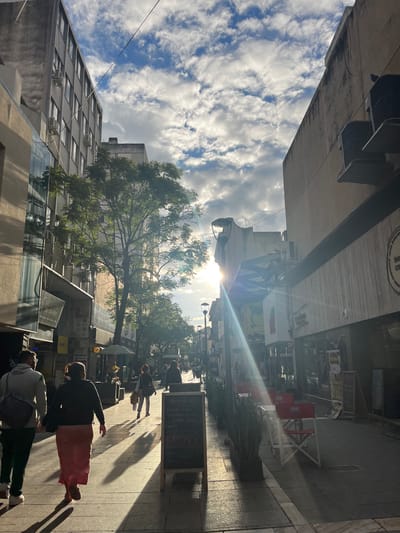 This image captures a vibrant, sunlit city street, likely in Cordoba, Argentina, given the provided context and visible Spanish text. The scene is viewed from a slightly elevated perspective, looking down a street or pedestrian area flanked by buildings.
The time of day appears to be either early morning or late afternoon, as the sun is low in the sky, creating a strong lens flare and casting long, distinct shadows across the paved sidewalk. The sky above is partially cloudy, with scattered white clouds against a blue background.
Numerous pedestrians are seen walking and standing on the sidewalk, engaging in typical urban activities. In the immediate foreground, a person in a pink skirt and another in a grey hoodie and green pants are visible. Further along, more individuals can be seen near commercial establishments.
The street is lined with multi-story buildings housing various businesses. On the right side of the image, an outdoor cafe setup features red and white tables and chairs, some of which bear the "Amstel" beer logo. Two large chalkboards stand on the sidewalk, displaying menu information in Spanish. One sign advertises a "Menú del día" (Menu of the day) that "INCLUYE Bebida Y POSTRE" (Includes Drink and Dessert) with options such as "PAPAS FRITAS" (French Fries) and a price of "$1.500". Another prominent sign indicates an "AGENCIA DE CAMBIO" (Money Exchange Agency).
A large, verdant tree with extensive foliage stands in the middle of the street, its branches extending upwards, providing a touch of nature amidst the urban setting. Overhead, power lines crisscross the frame. The overall atmosphere is one of a lively, everyday city scene.