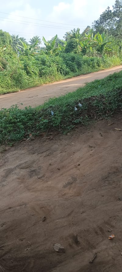 The image shows a dirt road in Amauzu, Nigeria, lined with dense green vegetation. The foreground is primarily dirt ground with leaves and debris. In the distance, beyond the road, is a thick growth of trees and plants, including banana trees. Power lines are visible against the sky.