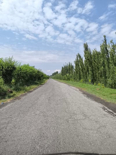 An asphalt road stretches into the distance, lined with lush green trees on the right and dense bushes on the left. The sky is a bright blue with scattered white clouds. The scene appears to be in Eskikishlak, Uzbekistan.