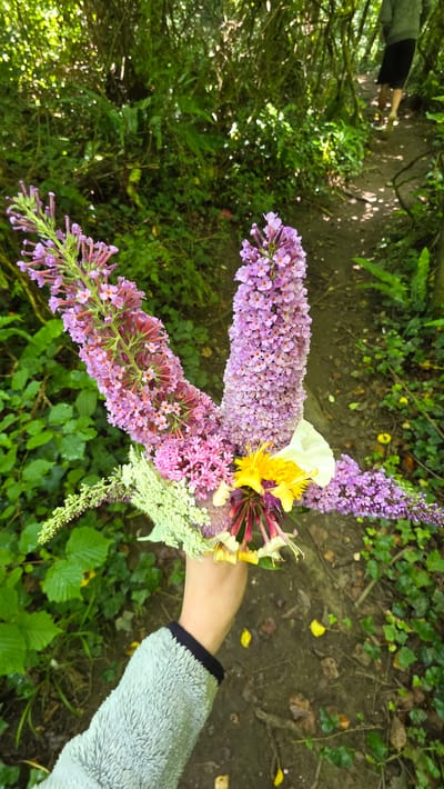 A hand is holding a bouquet of flowers. The bouquet is composed of several long, spiky purple flowers, a cluster of smaller pink flowers, and some smaller white flowers. There are also a few yellow and white blossoms nestled within the bouquet. The hand holding the bouquet is wearing a light gray fuzzy jacket. The background appears to be a natural, outdoor setting with lush green foliage and a dirt path. The lighting suggests it is daytime, with dappled sunlight filtering through trees. The overall impression is one of a peaceful, nature-focused moment, perhaps a walk in the woods or a garden. There is no visible text in the image.