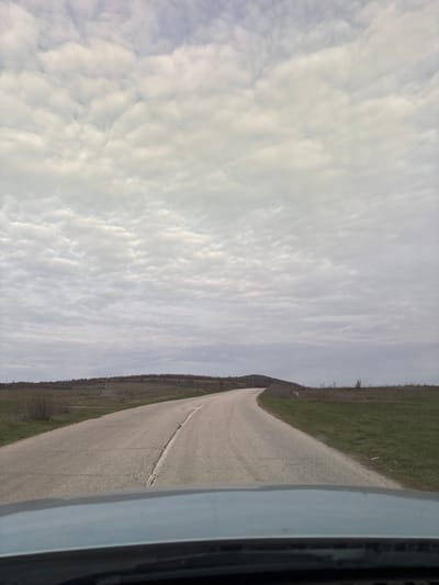 The image depicts a rural road in Suhache, Bulgaria, observed from the interior of a vehicle, with the lower portion of the dashboard/hood visible. The asphalt road, exhibiting central cracking and multiple transverse fractures, curves gently to the right and ascends into the distant landscape. Green grass verges line both sides of the road. To the left, sparse, leafless deciduous shrubs are visible on a low bank, with utility poles extending into the background. To the right, the grassy verge is wider, with a small white object, possibly an animal or debris, located near the road's edge at the bend. The horizon reveals rolling terrain covered with sparse, bare deciduous vegetation and additional utility poles. The sky is entirely overcast with a dense layer of light-colored stratocumulus clouds, indicating diffused daylight. No individuals or specific actions are visible in the scene.