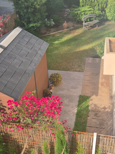 The image depicts an outdoor scene in Les Meravelles, Spain, likely a residential backyard. In the foreground, a rustic, woven fence is adorned with vibrant pink bougainvillea flowers and green foliage. To the left, a portion of a wooden shed with a dark gray, tiled roof is visible. The shed appears to be positioned on a paved patio area.

Beyond the patio, a well-maintained lawn stretches across the middle ground, bathed in sunlight, with visible shadows. A weathered wooden garden bench sits on the lawn, near a decorative terracotta urn. Lush green trees and shrubs form a dense backdrop. In the upper right corner, a light-colored, raised planter box or wall is partially visible. The overall impression is one of a tranquil garden setting. There are no people visible in the image.