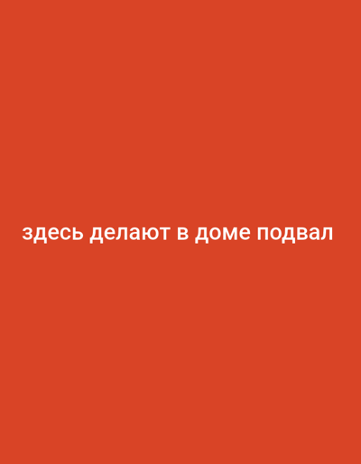 The image is a vertically oriented photograph of a plain, vibrant orange-red background. White text is centered horizontally and vertically on the image. The text reads "здесь делают в доме подвал". This translates to "here they make a basement in the house". There are no people, objects, or any contextual elements visible in the image other than the text and the colored background. The location of Prisel'e, Russia, is not depicted in this image.