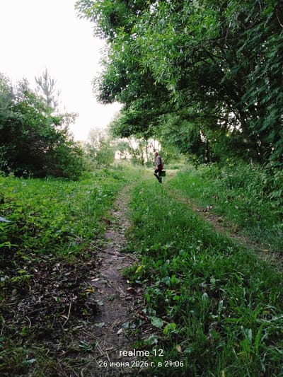 A person walks down a dirt path through a dense, green forest. The path is narrow and appears to be overgrown with grass and weeds on either side. Tall trees with lush green leaves form a canopy overhead, dappling the path with sunlight. In the distance, the sky is bright and hazy, suggesting it may be late afternoon or early evening. The person is walking away from the camera, carrying a green bucket in their right hand. They are wearing a long-sleeved shirt and dark pants. The overall impression is one of a serene and natural setting.