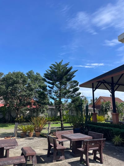 This image depicts an outdoor seating area under a clear blue sky in Ban Yid, Thailand, during daytime. In the foreground and mid-ground, multiple sets of dark brown, rustic-style tables and benches, possibly constructed from concrete or wood, are arranged on a light gray concrete patio. To the left, a coiled garden hose is visible on the ground. Beyond the patio, a patch of green grass is bordered by a low, weathered wooden fence, behind which several potted plants, including large succulents with spiky leaves, are visible.

The background features dense foliage, including a tall, slender coniferous tree with tiered branches prominently centered, flanked by a broad, leafy deciduous tree to its left. A light gray concrete wall forms a boundary behind the trees and plants. To the right, a dark-roofed outdoor structure with dark support pillars and a visible light fixture is present. Further in the background, a house with a reddish-brown tiled roof is partially visible. The sky is bright blue with scattered thin, white cirrus clouds. No individuals are present in the scene.