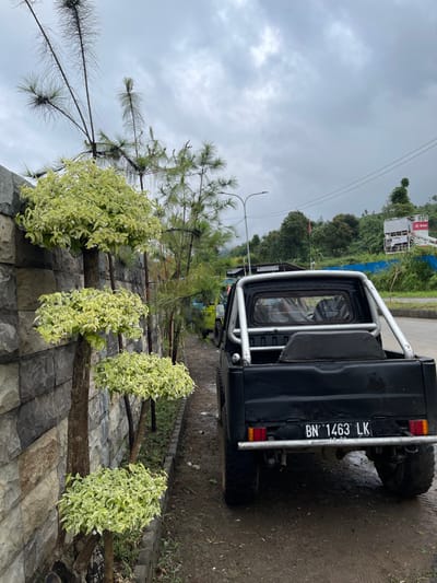 This image captures an outdoor scene, likely in a semi-urban or rural setting within Indonesia, consistent with areas such as Garut. The primary subject is a black, modified pickup truck, seen from the rear, parked on a dirt shoulder adjacent to a paved road. The truck features an external silver roll bar over its bed and has large, knobby tires. Its Indonesian license plate, "BN 1463 LK," is centrally mounted (note: "BN" is the vehicle plate code for Bangka Belitung, not West Java where Garut is located). A black seat or cover is visible in the truck's bed.

To the left of the image, a wall constructed from grey, rectangular stone blocks runs parallel to the dirt shoulder. Along this wall, a narrow planted area features three pruned, multi-tiered plants with variegated light green and yellowish-white leaves. Behind these, several tall, slender pine-like trees rise towards the sky.

In the mid-background, a paved road is visible. The distant background reveals lush, green hilly terrain under an overcast, grey sky. On a hillside to the right, a white or silver structure with a partially visible sign displaying "SAMI" and "ABADI" can be seen. A modern street light fixture is also present above the road. No individuals are visible in the scene.