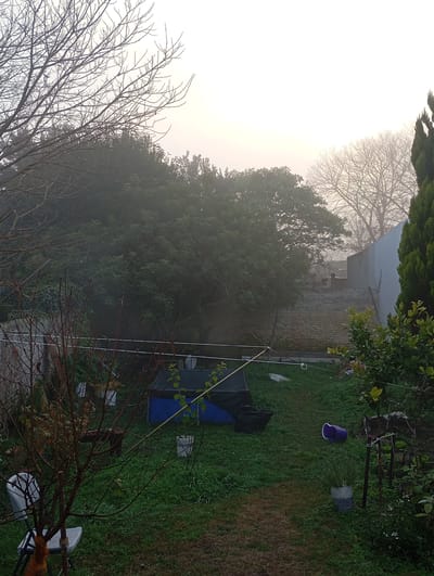 The image depicts a backyard scene in Tolosa, Argentina, on a foggy morning. The atmosphere is serene and slightly melancholic due to the low visibility and muted colors.
In the foreground, a bare-branched tree stands prominently, with a white plastic chair beside it. A clothesline stretches across the yard, adorned with a few light-colored clothes. Further into the yard, a dark-colored tent with blue fabric is set up on the grass. Next to it, a black trash bag lies on the ground.
The middle ground reveals a brick wall and a lighter-colored wall, suggesting the boundaries of the property. Beyond these, a dense cluster of trees and shrubs is visible, shrouded in fog. The sky is overcast and bright, indicating early morning light filtering through the mist.
In the right side of the frame, a tall evergreen tree adds a touch of vibrant green against the muted tones of the fog. A purple bucket and a white bucket are placed on the grass. Several smaller plants and bushes are scattered throughout the yard, some with green foliage and others appearing dormant.
The overall impression is one of a quiet, domestic space enveloped by the soft embrace of morning fog. There is no visible text in the image.