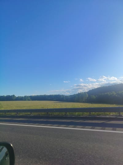 The image captures a view from a moving vehicle on a paved road. The road has a white line marking the lane. To the right of the road is a metal guardrail, beyond which is a yellow field that appears to be grass or crops. Further in the background, a dense forest lines the horizon, with a hill or mountain covered in trees to the right. The sky is clear blue with a few wispy clouds and a crescent moon visible. The scene suggests a rural or roadside environment, possibly outside of the city of Dyatlovo, Russia, given the characteristic landscape of the region. There are no people or specific actions depicted in the image, only the environment and the roadway.