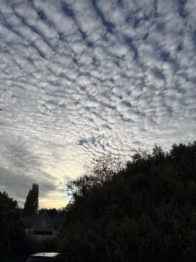The image depicts a view of the sky in Orsay, France. The sky is filled with altocumulus clouds, characterized by their small, rounded masses arranged in rows. The color of the sky ranges from white to light gray, with patches of blue visible between the clouds. On the right side of the image, the silhouette of a tree can be seen. In the distance, a house is visible, featuring a triangular roof and a small round window. The image is taken from a low angle, looking upwards towards the sky.