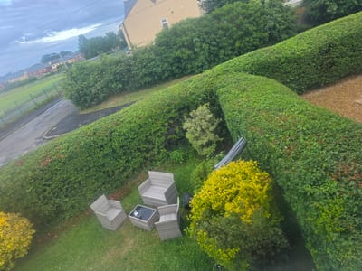 This elevated view depicts a residential garden and surrounding area in Shotton, United Kingdom, under an overcast sky. The foreground features a green lawn with a four-piece grey wicker outdoor furniture set, consisting of three chairs and a rectangular table with a dark top, positioned on the grass. A small white object is on the table, and a dark bag is partially visible behind one chair. A large, vibrant yellow-leafed shrub occupies the lower-left corner. Trimmed green hedges form boundaries and structures within the garden, including a long hedge separating the garden from a paved surface. A folded grey patio umbrella leans against one of these hedges. A smaller, variegated green-and-white shrub is situated among the hedges. Beyond the garden's main hedge, a narrow strip of land transitions to a paved road. Further in the mid-ground, a green field, partially enclosed by a low green fence, is visible. The background shows several residential houses, some with cream-colored facades and others with red brick, beneath power lines traversing the cloudy sky. No individuals or animals are present.