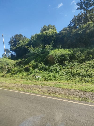 A roadside view in a green, possibly rural area of Kenya. A paved road with a yellow line runs along the bottom of the frame. The landscape rises to the left and is covered in dense green vegetation and trees. A utility pole stands in the upper left corner. The sky is blue with a few small clouds. A small patch of white is visible in the vegetation at the base of the slope, possibly trash or debris. The location appears to be within a municipality ward.