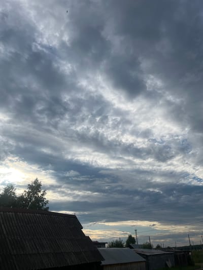 In the city of Kauchuk Stantsiya, Russia, a photograph captures a low-angle view of a cloudy sky above a rural landscape. The sky is filled with a dense, textured layer of dark gray clouds with streaks of lighter gray and white, suggesting an overcast or approaching storm. In the upper portion of the sky, a small, dark silhouette of a bird is visible in flight.

In the lower part of the image, the corrugated roof of a building is prominent in the foreground, appearing weathered and dark. To the left of the roof, the dark silhouettes of trees are visible against the brighter sky. In the middle ground and background, several other structures are present, including what appear to be sheds and smaller buildings, some with corrugated metal roofs. A utility pole with wires stretches across the scene, and a distant tower can be seen. The overall environment suggests a somewhat unkempt, rural or semi-rural setting on an overcast day. There are no visible people in the scene.