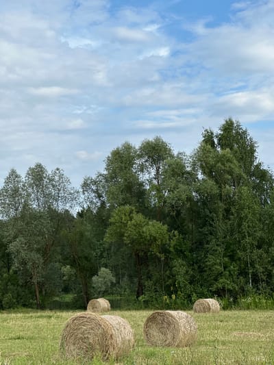 The image depicts a rural landscape with hay bales in a field under a cloudy blue sky. In the foreground, three round hay bales are visible on a grassy field. The hay bales are tightly rolled and have a textured, straw-like appearance. Behind the hay bales, a dense line of green trees forms a backdrop. The trees vary in height and density, with some appearing taller and more mature than others. The overall setting suggests a harvested field ready for baling or storage, likely in a rural area. The scene is devoid of any human presence or activity, focusing solely on the natural elements and the agricultural remnants. The location is specified as Lukovnya, Russia.
