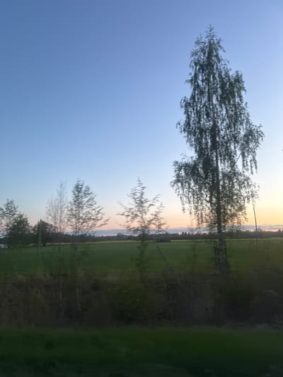 The image shows a landscape view, likely taken in Valgunde, Latvia. The sky is predominantly blue, fading to a pale yellow near the horizon. Silhouetted trees are visible against the sky, their branches appearing thin and sparse. Below the horizon, there's a field with varying shades of green and areas of darker vegetation. Power lines or poles are present within the field. The photograph appears to have been taken at dusk or dawn, given the lighting. There are no people visible. The interaction is between the natural elements - sky, trees, and field.