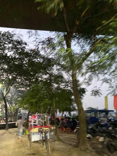 The image depicts a street scene in Tarabo, Bangladesh. Dominating the foreground are large trees with dense foliage. The street is lined with vendors, some of whom are visible interacting with customers. There are motorcycles parked along the side of the road. A small food cart is seen with a person standing nearby. The sky is overcast.