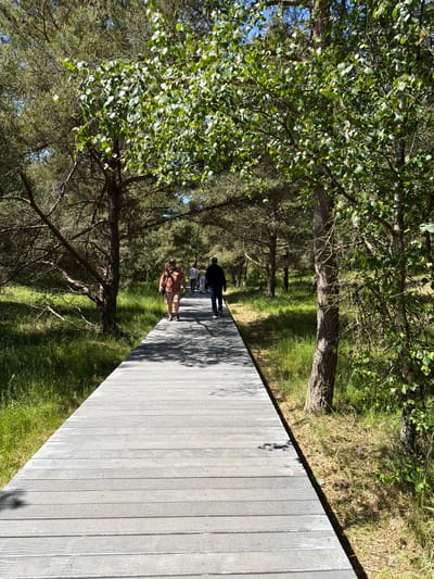 The image shows a wooden boardwalk path through a sun-dappled forest with tall pine and birch trees. Several individuals are walking along the boardwalk. On the left side of the boardwalk, a person wearing a reddish-brown shirt and patterned shorts is walking away from the camera. Further down the boardwalk, two individuals are walking together, one in a white shirt and the other in a dark shirt and jeans. In the distance, more people are visible on the path. The boardwalk is made of gray wooden planks and is bordered by lush green grass and dry pine needles. The scene appears to be a natural park or scenic walkway within the city of Morskoe, Russia, likely on a clear, sunny day.