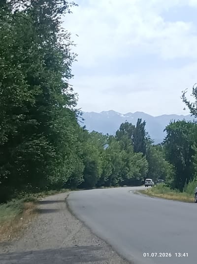 The image depicts a paved road curving to the left, bordered by a gravel shoulder on the left and dense green foliage and trees on both sides. In the distance, mountains with snow-capped peaks are visible under a partly cloudy sky. Several vehicles are present: a white SUV and another dark-colored vehicle are driving on the road in the distance. The timestamp "01.07.2026 13:41" is visible in the lower right corner of the image. The scene appears to be a rural or semi-rural area, possibly on the outskirts of Chüy, Kyrgyzstan, given the mountain range in the background.