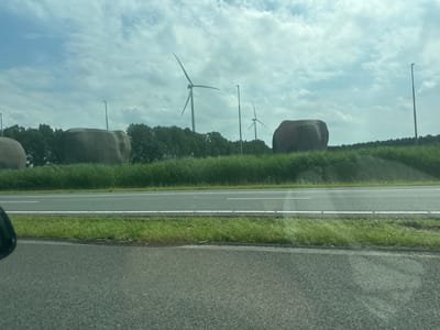 The image shows a landscape scene in Almere, Netherlands, with a road in the foreground and a grassy embankment beyond. On the embankment, there are three large, rounded, greyish-brown sculptures resembling elephants. Behind the sculptures, a line of green trees forms the backdrop. In the distance, several wind turbines are visible, suggesting an open, possibly rural or semi-industrial area. The sky is partly cloudy with patches of blue and white. The sun appears to be out, casting a soft light, indicating it is daytime. The overall mood of the image is serene and somewhat whimsical due to the presence of the elephant sculptures. There is no visible text in the image.