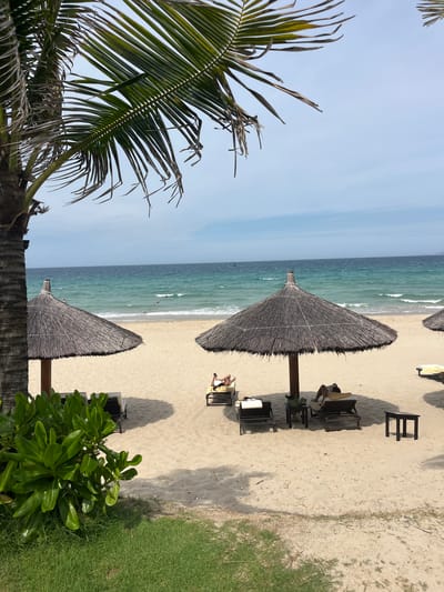 The image depicts a tropical beach scene in Cam Lam, Vietnam. In the foreground, the fronds of a palm tree are visible against a clear blue sky. The main focus is a sandy beach with several thatched umbrellas providing shade. Underneath two of the umbrellas, lounge chairs are arranged, with a few people relaxing. One person is visible on a lounge chair near the top right of the image, and another individual is reclined on a chair beneath the larger umbrella in the center. The ocean, with gentle waves breaking on the shore, occupies the mid-ground. The water transitions from a light turquoise near the beach to a deeper blue further out. A few small figures are visible swimming or wading in the sea. The overall setting is serene and suggests a leisurely day at the beach. The lighting indicates it is daytime, likely late morning or early afternoon, with bright sunshine casting shadows on the sand. The presence of palm trees and the style of the umbrellas are indicative of a Southeast Asian coastal location. No visible text is present in the image.